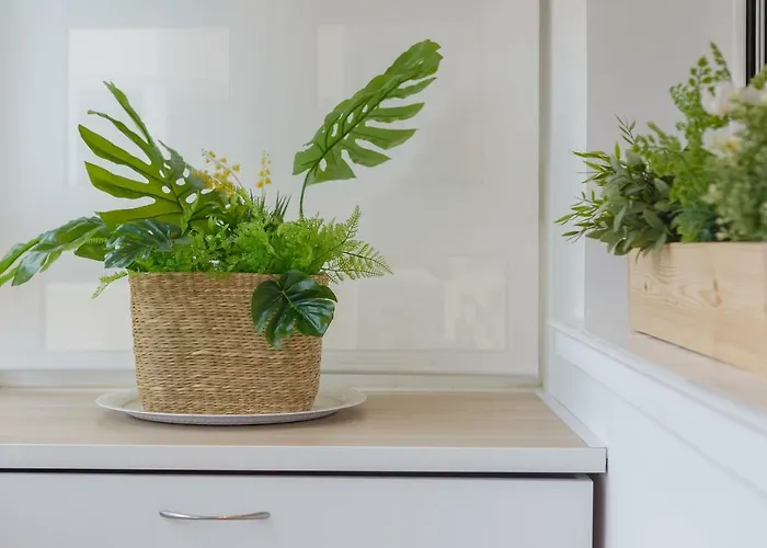 Apartment Casa Ros-playa Free Parking By Cadiz4rentals