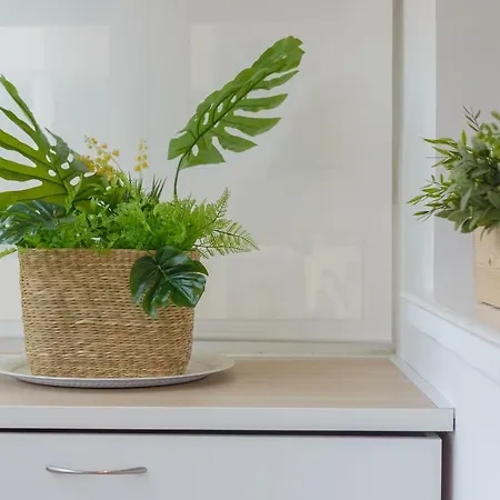 Appartement Casa Ros-playa Free Parking By Cadiz4rentals